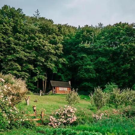 панська господа * Vyžnycja