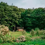 панська господа * Vyzhnytsya