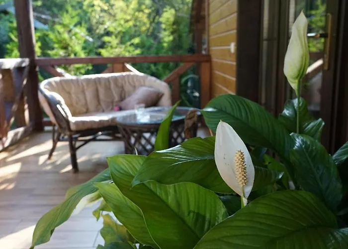 панська господа Hébergement de vacances